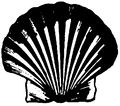 Shell-Logo-1909.jpg