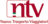 NTV-Logo.png